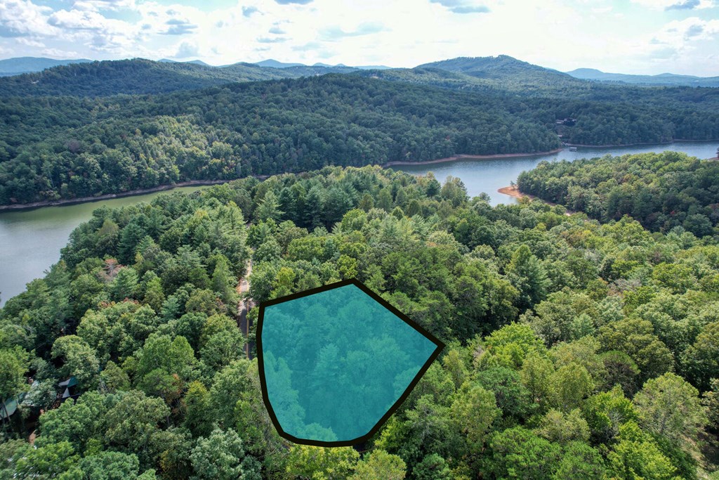 Lot 11 Lakemont, BLAIRSVILLE, Georgia image 9