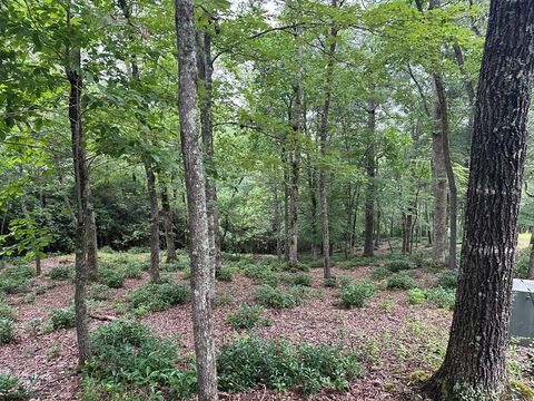 Vacant Land For Sale - LOT 22 Brasstown Trails #22<br/> WARNE, NC 28909