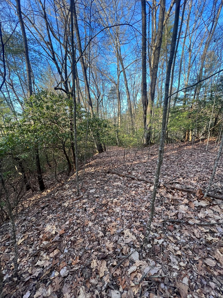 00 Lauren Road, MURPHY, North Carolina image 3