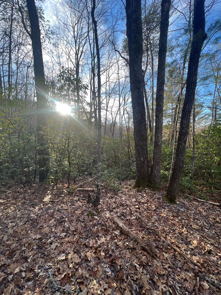 00 Lauren Road, MURPHY, North Carolina image 16