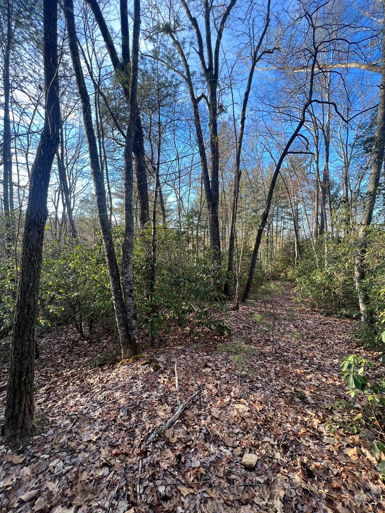 00 Lauren Road, MURPHY, North Carolina image 18