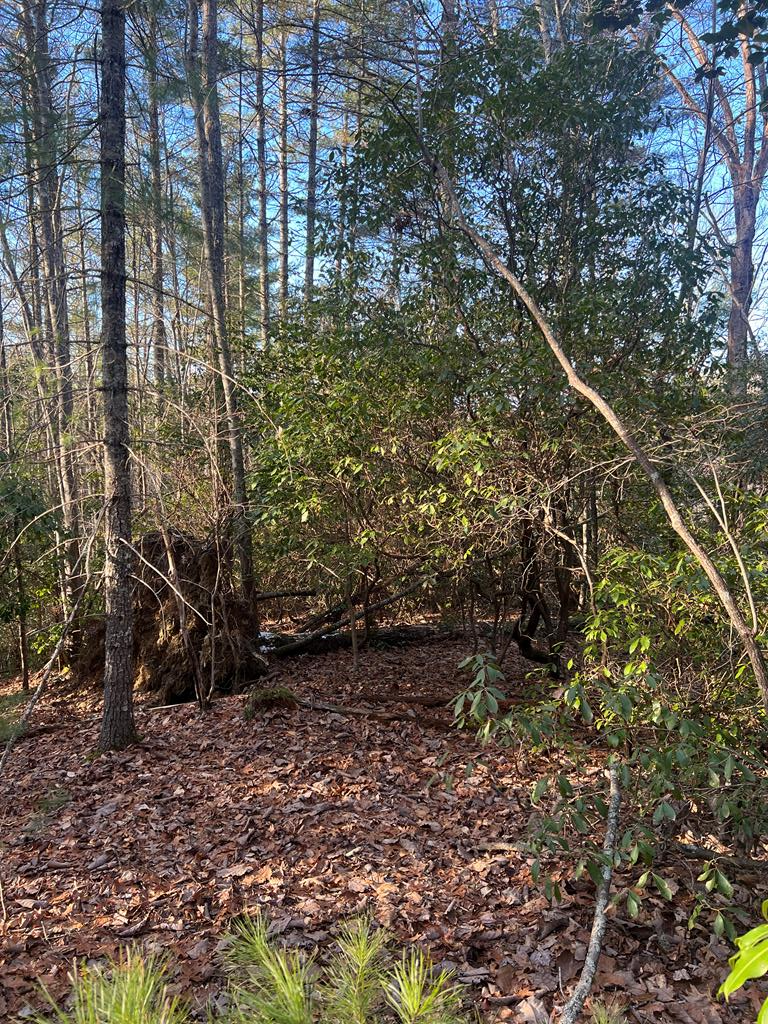 00 Lauren Road, MURPHY, North Carolina image 12