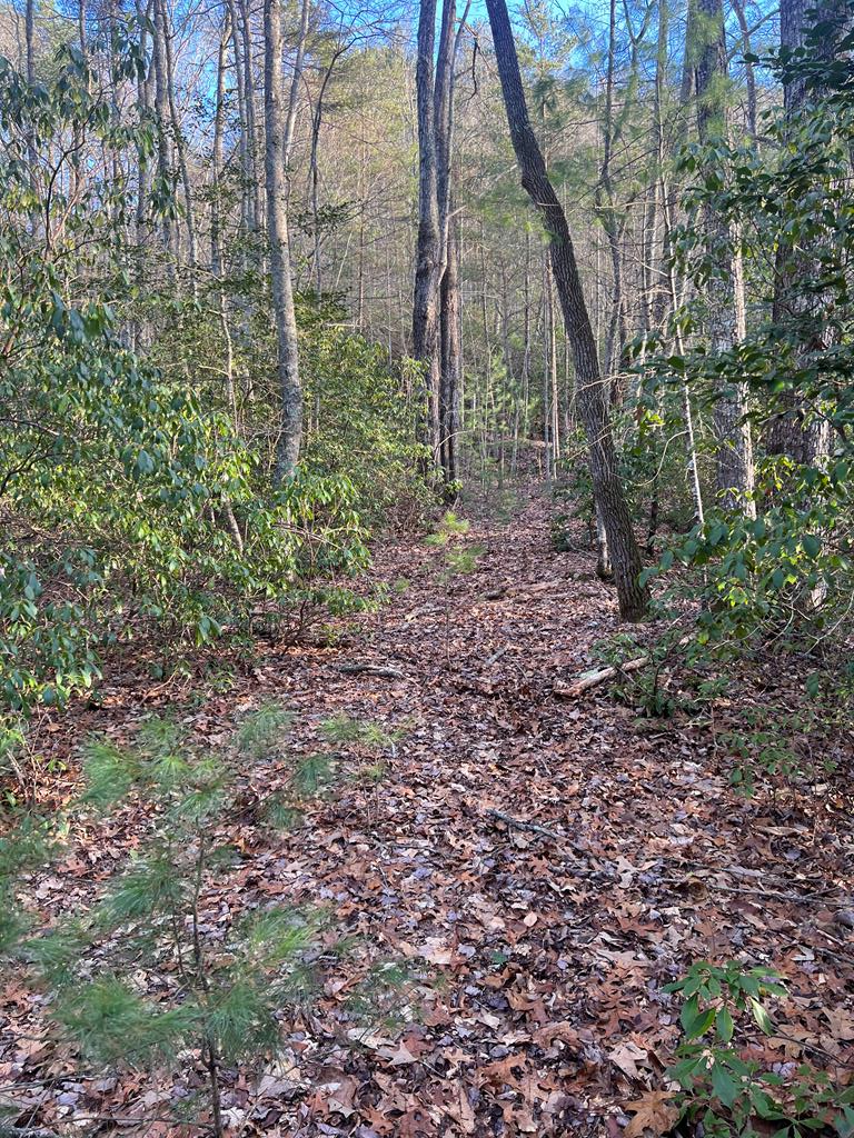 00 Lauren Road, MURPHY, North Carolina image 11