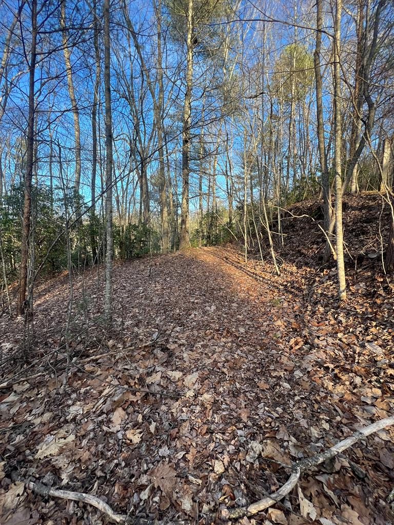 00 Lauren Road, MURPHY, North Carolina image 20