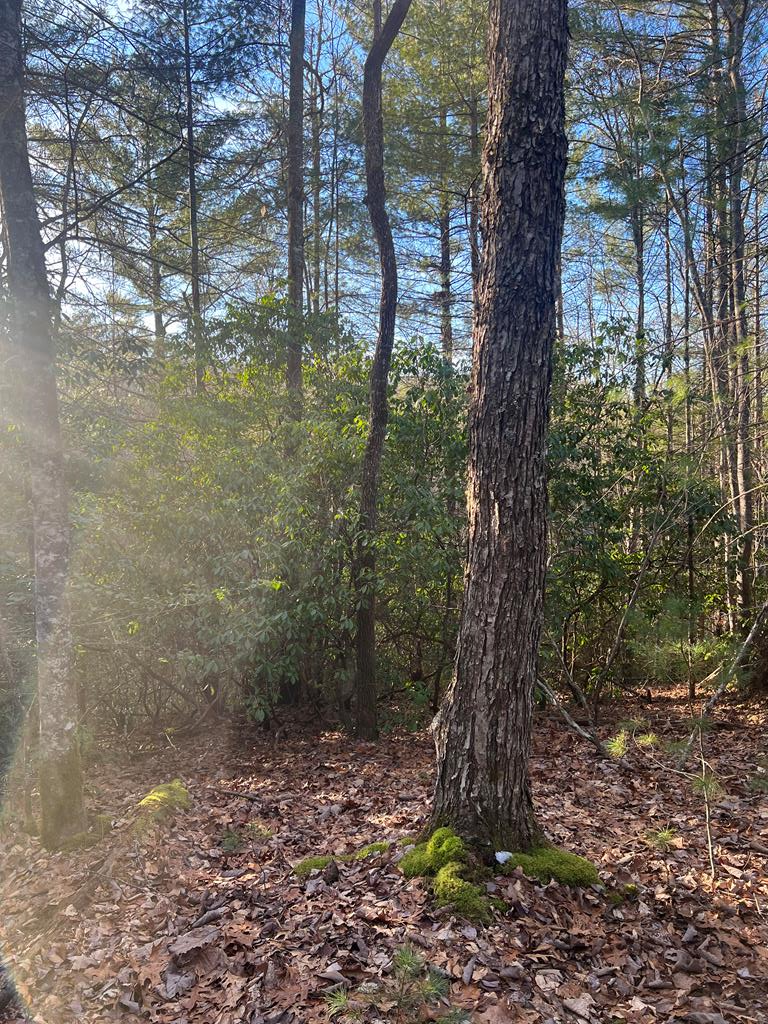00 Lauren Road, MURPHY, North Carolina image 13