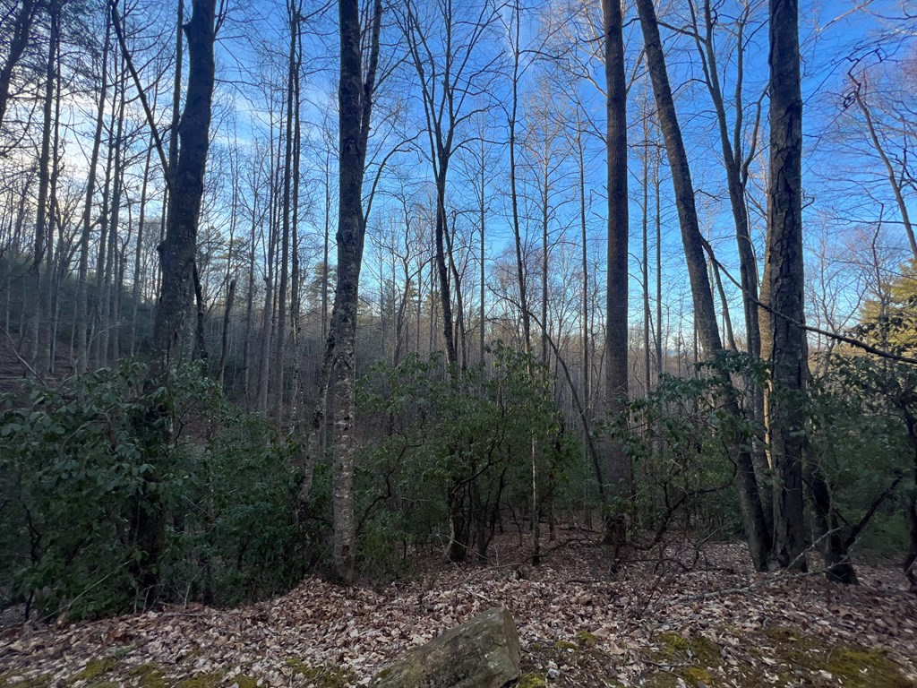 00 Lauren Road, MURPHY, North Carolina image 7