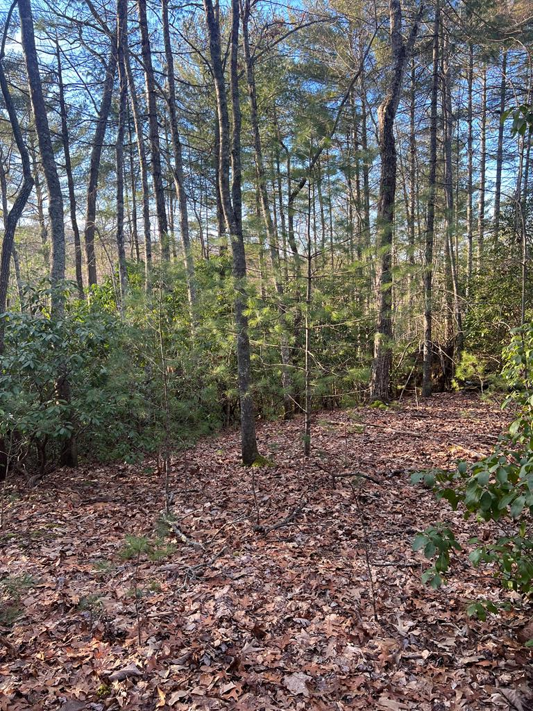00 Lauren Road, MURPHY, North Carolina image 15