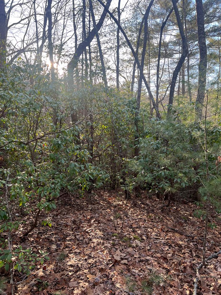 00 Lauren Road, MURPHY, North Carolina image 14