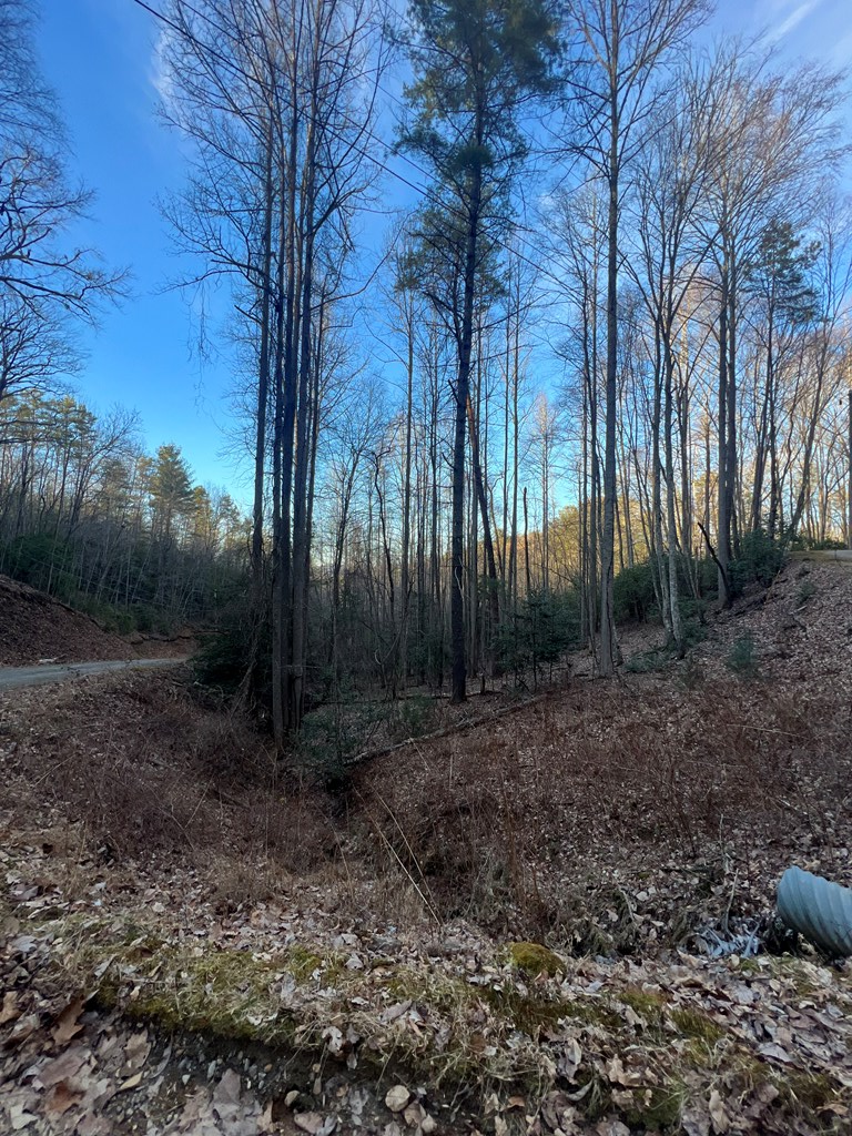00 Lauren Road, MURPHY, North Carolina image 6