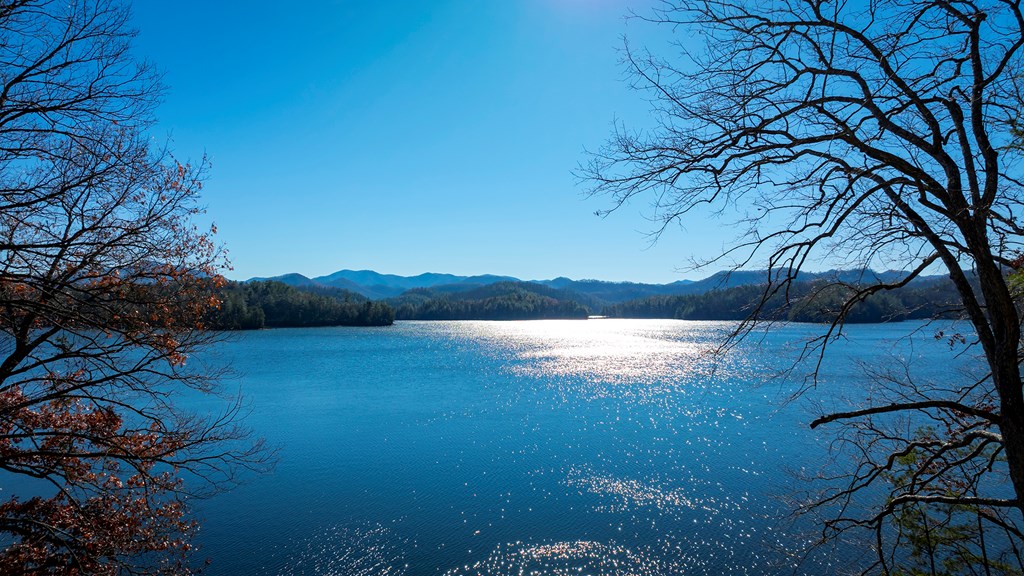 25 Little Falls Trail, ROBBINSVILLE, North Carolina image 5