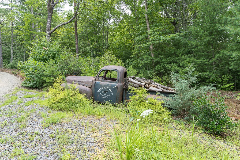 311 Legendary Ridge, MURPHY, North Carolina image 43