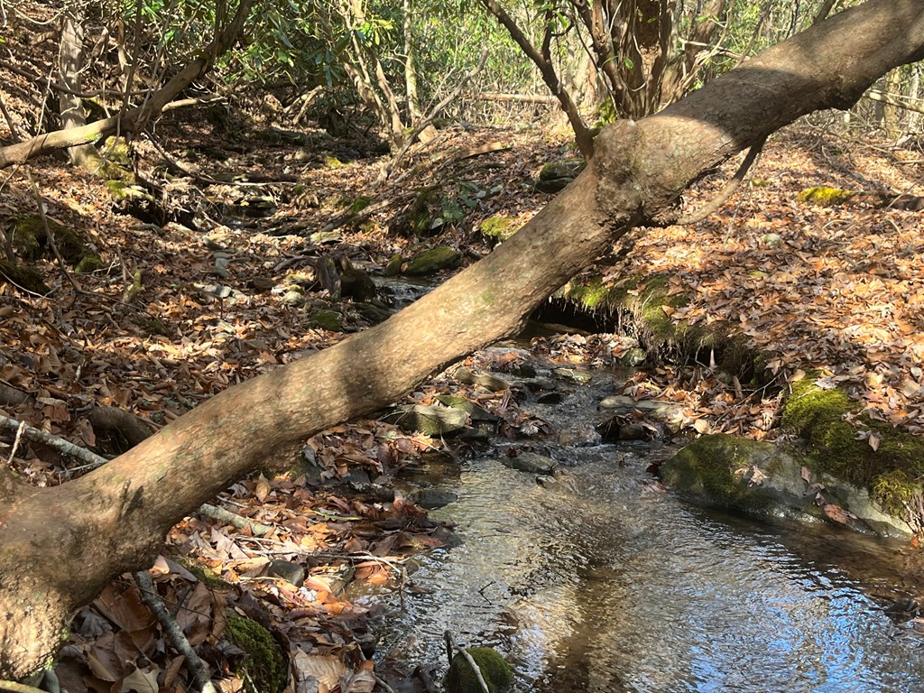 Lot 8 Moore Acres #8, HAYESVILLE, North Carolina image 17