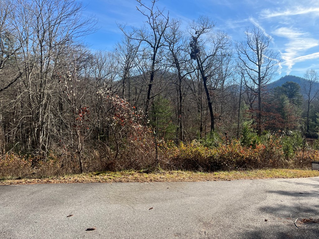 Lot 8 Moore Acres #8, HAYESVILLE, North Carolina image 25