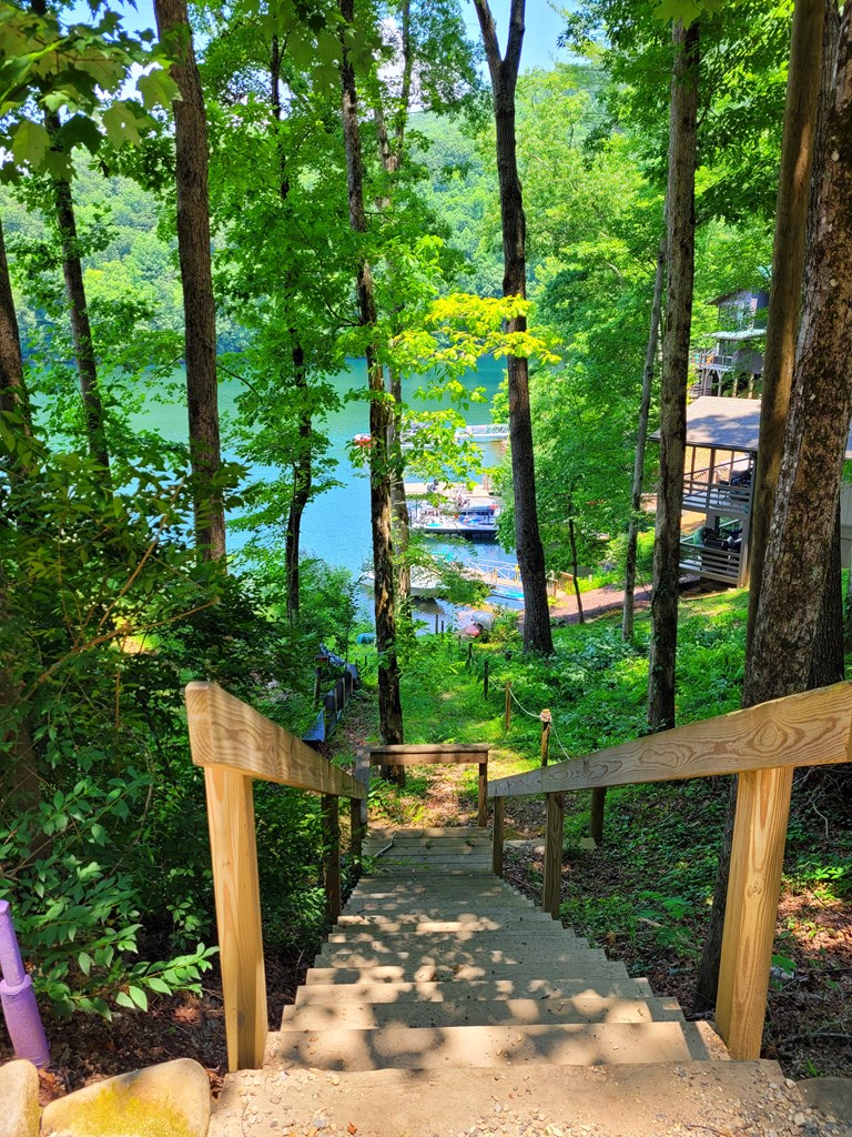 39 Black Bear Trail, ROBBINSVILLE, North Carolina image 26