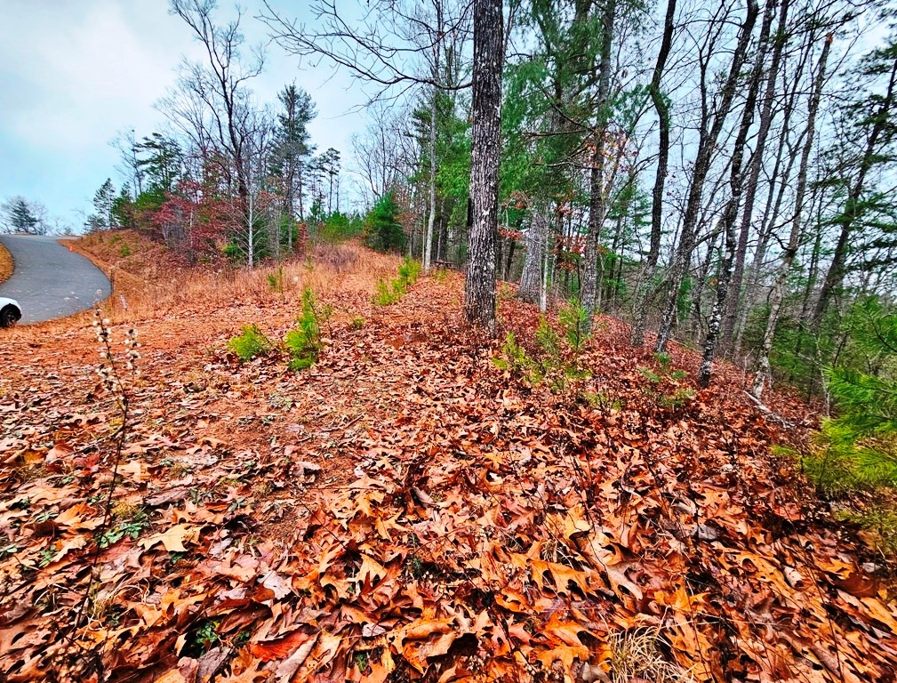 Lot 48 Wayah Ridge #48, MURPHY, North Carolina image 18