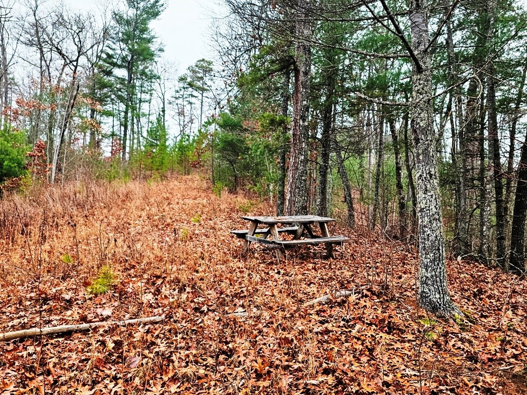 Lot 48 Wayah Ridge #48, MURPHY, North Carolina image 9