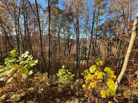 Vacant Land For Sale - 39M 40M Ridges Overlook #39 40<br/> HAYESVILLE, NC 28904