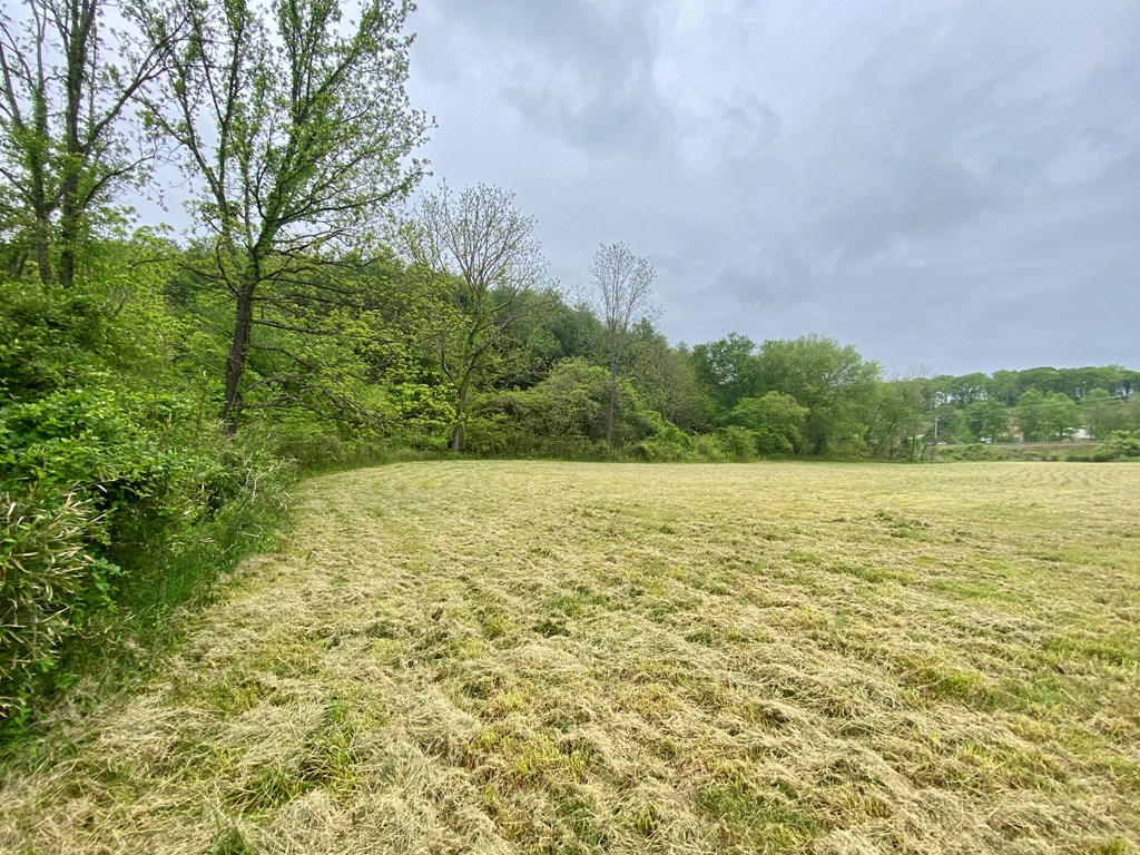 LT 24/26 Mcglamery Farm Drive #24/26, HAYESVILLE, North Carolina image 10