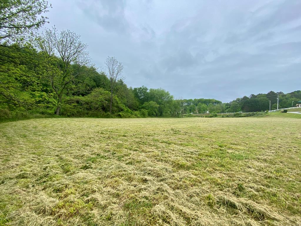 LT 24/26 Mcglamery Farm Drive #24/26, HAYESVILLE, North Carolina image 23