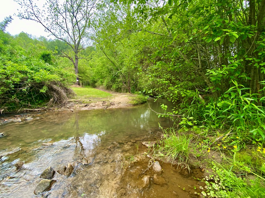 LT 24/26 Mcglamery Farm Drive #24/26, HAYESVILLE, North Carolina image 4