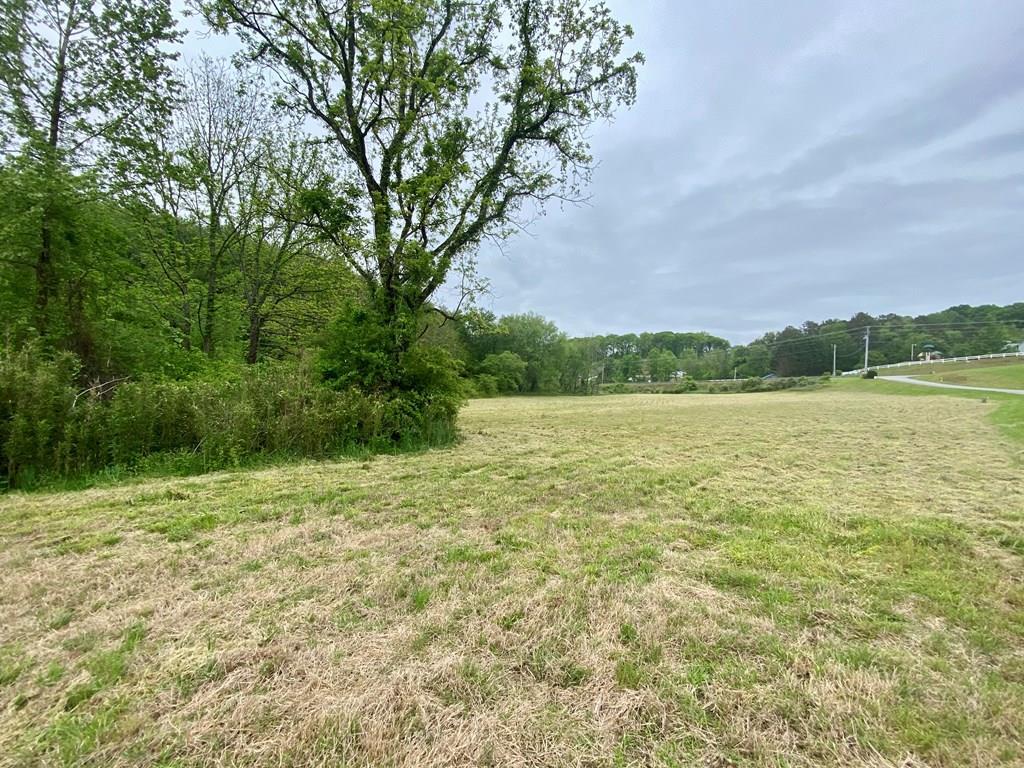 LT 24/26 Mcglamery Farm Drive #24/26, HAYESVILLE, North Carolina image 2