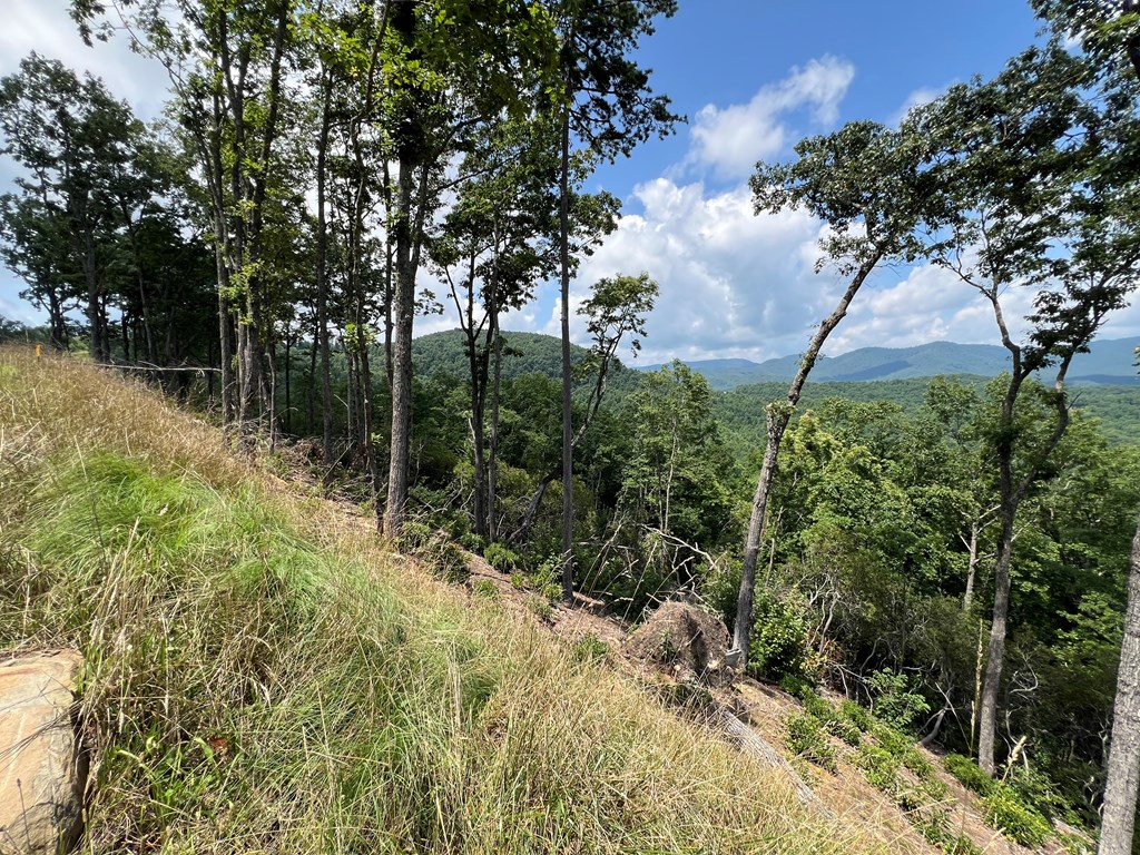 Lot 183 Skyline View Road #183, MURPHY, North Carolina image 3