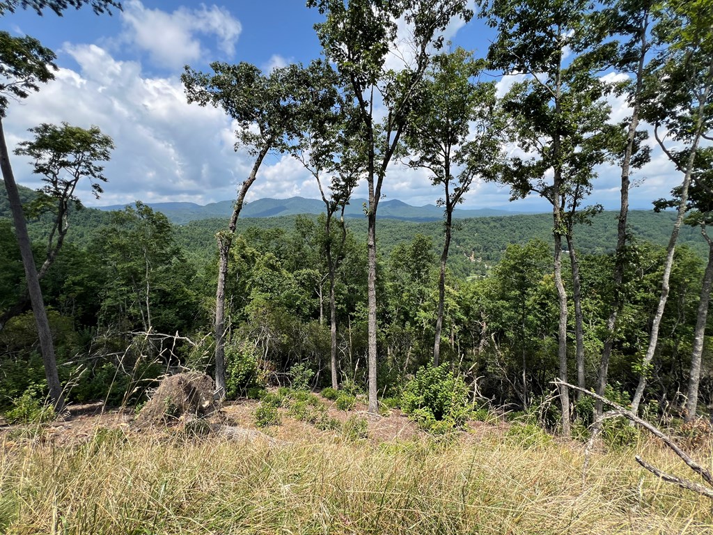 Lot 183 Skyline View Road #183, MURPHY, North Carolina image 4