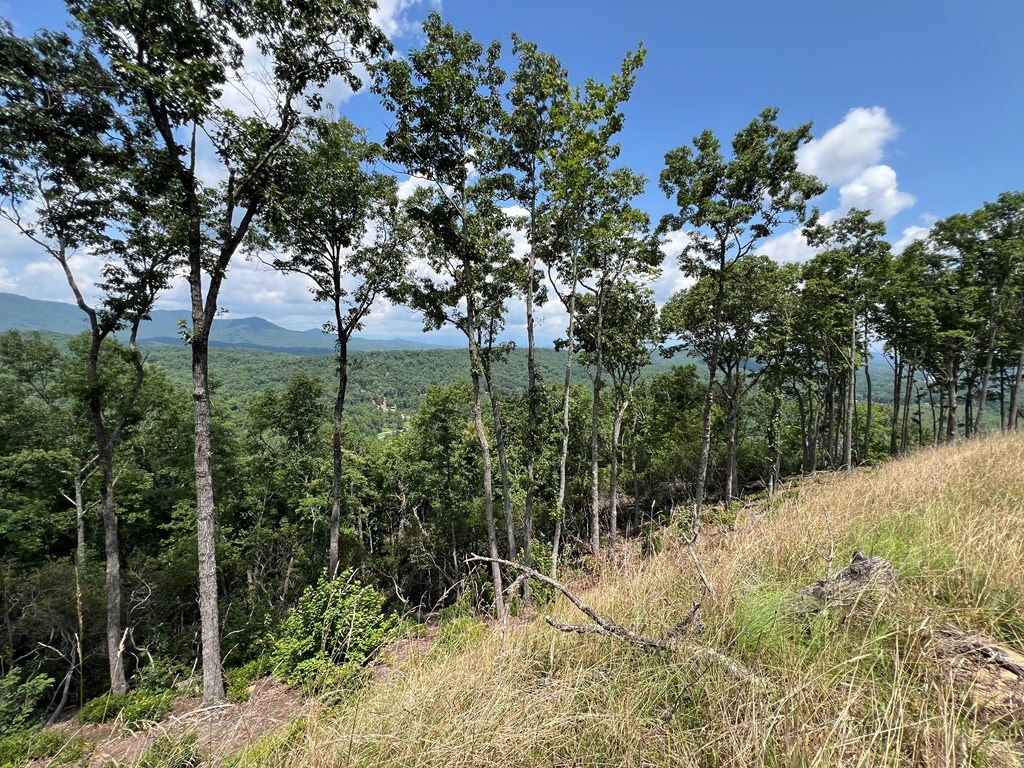 Lot 183 Skyline View Road #183, MURPHY, North Carolina image 5