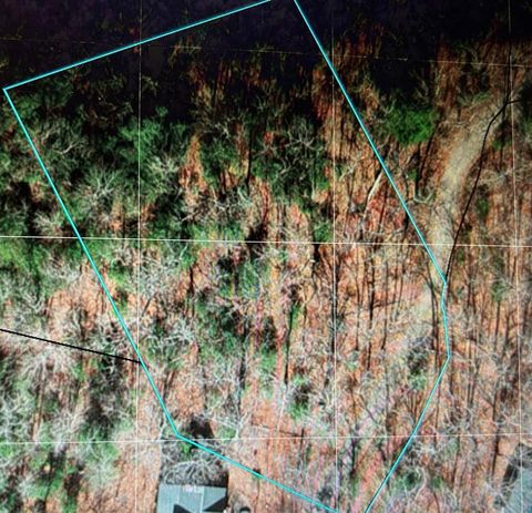 Vacant Land For Sale - LOT 4 Ridgeline #4<br/> BRASSTOWN, NC 28902