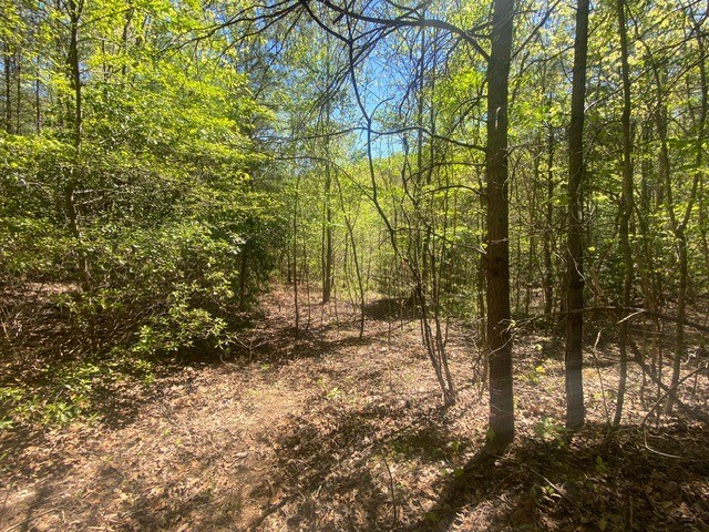 Lot 10 Whispering Lane #10, BLUE RIDGE, Georgia image 3