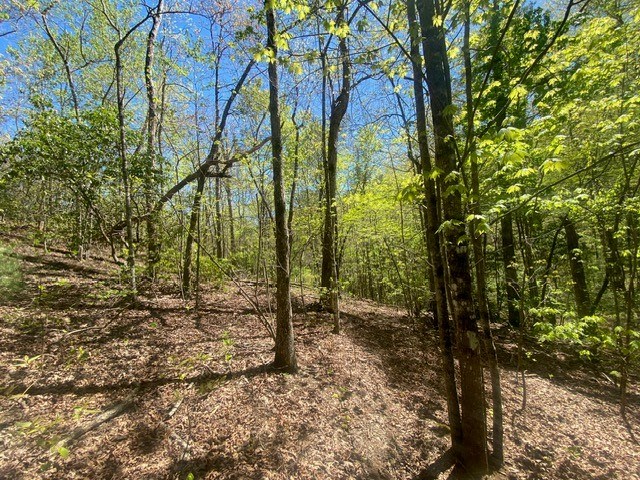 Lot 10 Whispering Lane #10, BLUE RIDGE, Georgia image 8