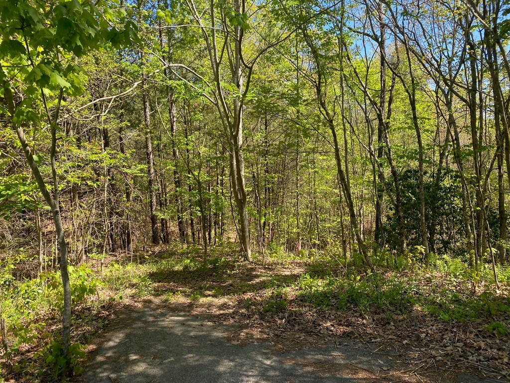 Lot 10 Whispering Lane #10, BLUE RIDGE, Georgia image 6