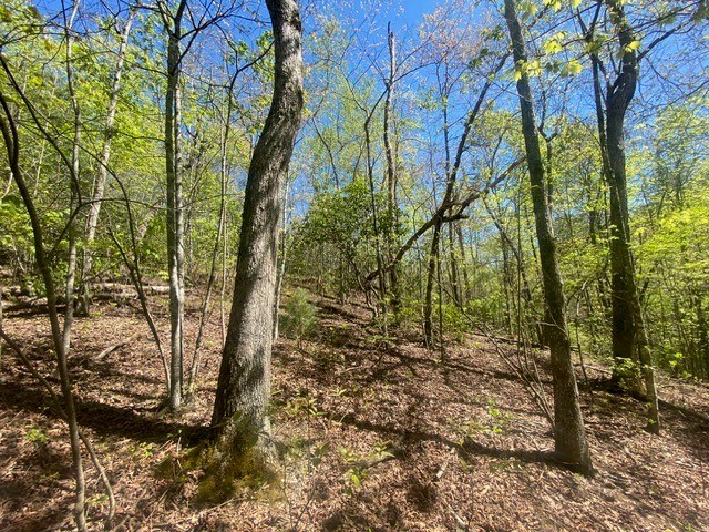 Lot 10 Whispering Lane #10, BLUE RIDGE, Georgia image 7