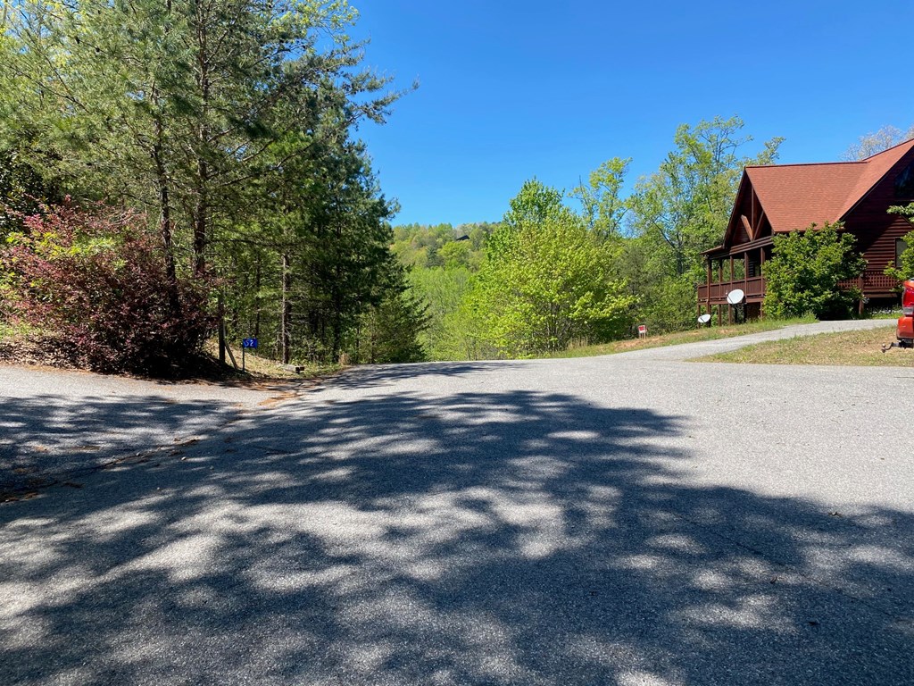 Lot 10 Whispering Lane #10, BLUE RIDGE, Georgia image 2