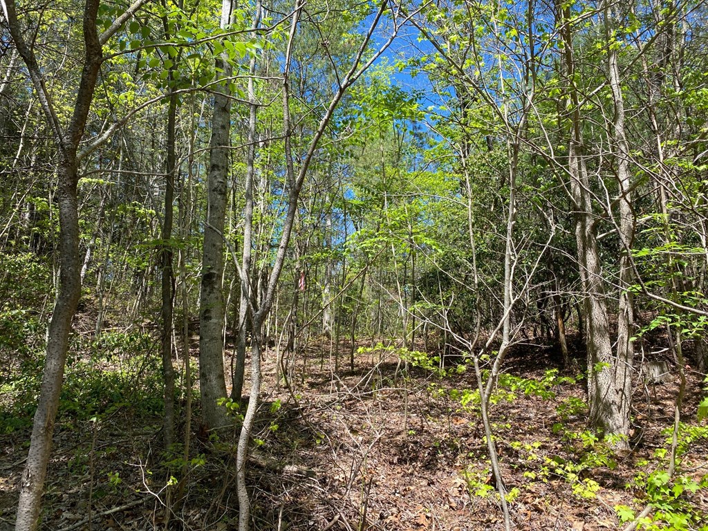 Lot 10 Whispering Lane #10, BLUE RIDGE, Georgia image 4