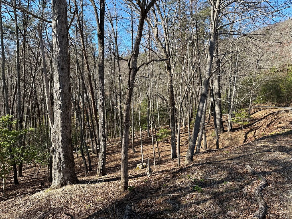 Lot 40 Asheland Cove #40, YOUNG HARRIS, New York image 6