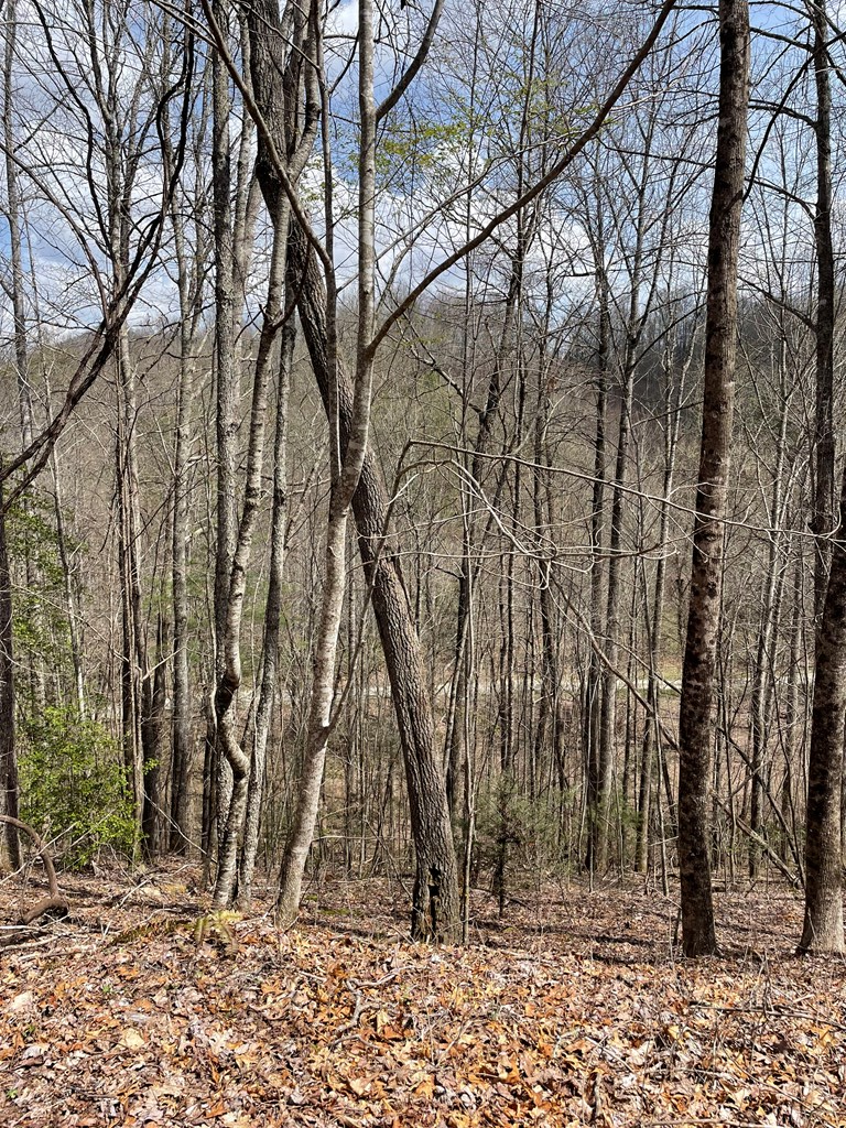 00 Hidden Lakes #11-A, TOPTON, North Carolina image 11