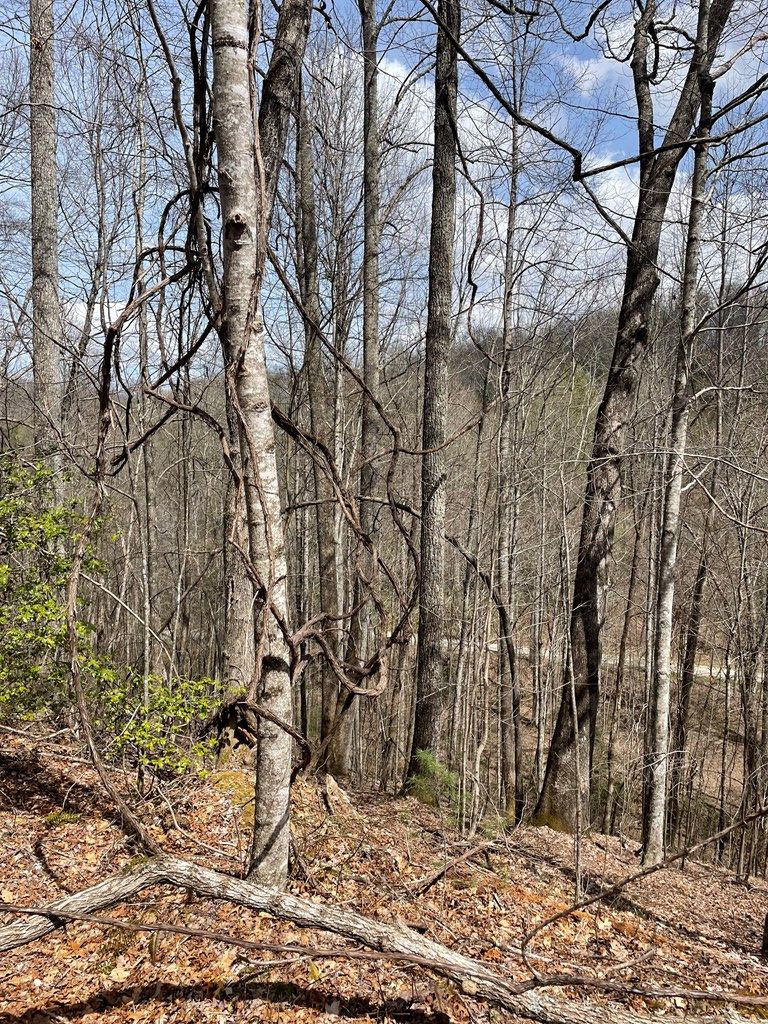 00 Hidden Lakes #11-A, TOPTON, North Carolina image 13