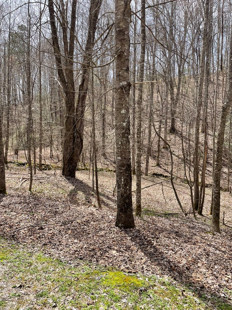 00 Hidden Lakes #11-A, TOPTON, North Carolina image 2