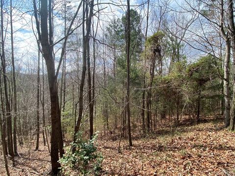 Vacant Land For Sale - LOT 9 Turtle Ridge Trl #9<br/> MURPHY, NC 28906