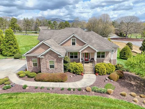 Homes For Sale - 36 Owen Vista<br/> Union County, BLAIRSVILLE, GA 30512