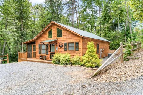 Homes For Sale - 20 Lauras Cove Ln<br/> MURPHY, NC 28906