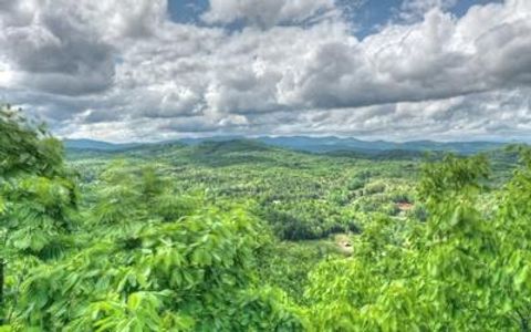 Vacant Land For Sale - LOT 1 High Country Lane #1<br/> Union County, MORGANTON, GA 30560