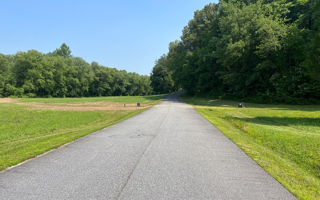 Lot 55 Brasstown Trails #55, BRASSTOWN, North Carolina image 3