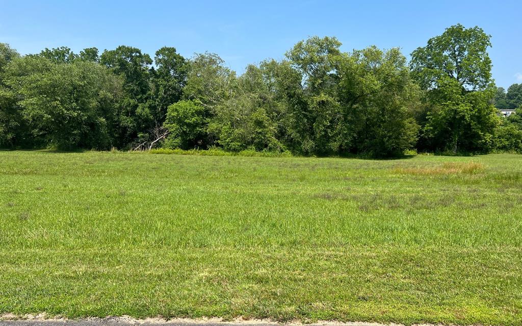 Lot 55 Brasstown Trails #55, BRASSTOWN, North Carolina image 1