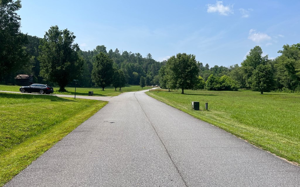 Lot 55 Brasstown Trails #55, BRASSTOWN, North Carolina image 5