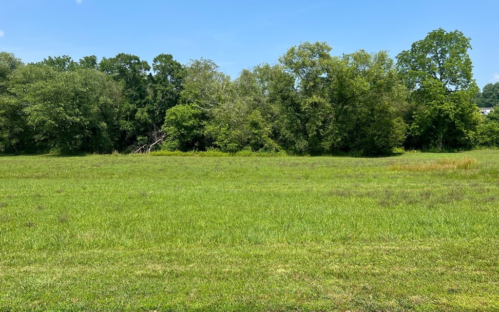 Lot 55 Brasstown Trails #55, BRASSTOWN, North Carolina image 7