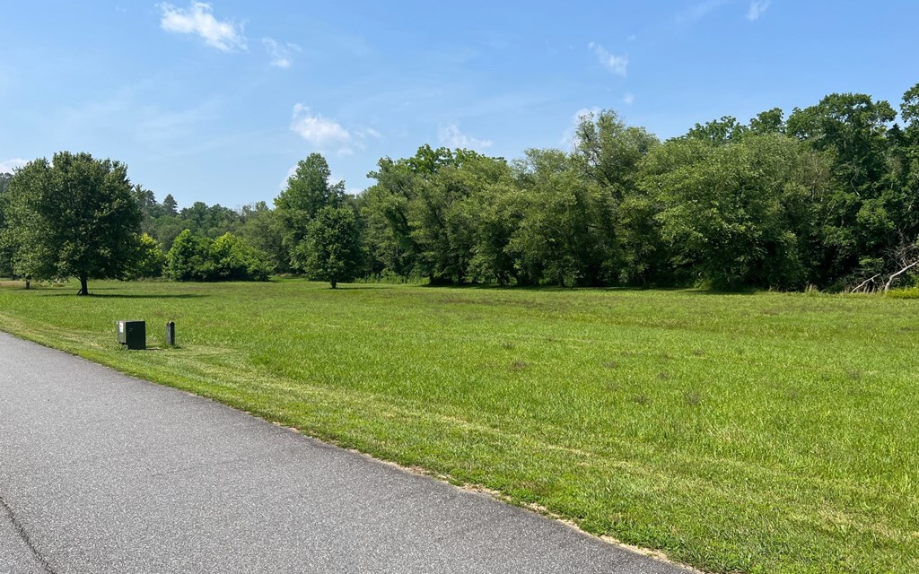 Lot 55 Brasstown Trails #55, BRASSTOWN, North Carolina image 6