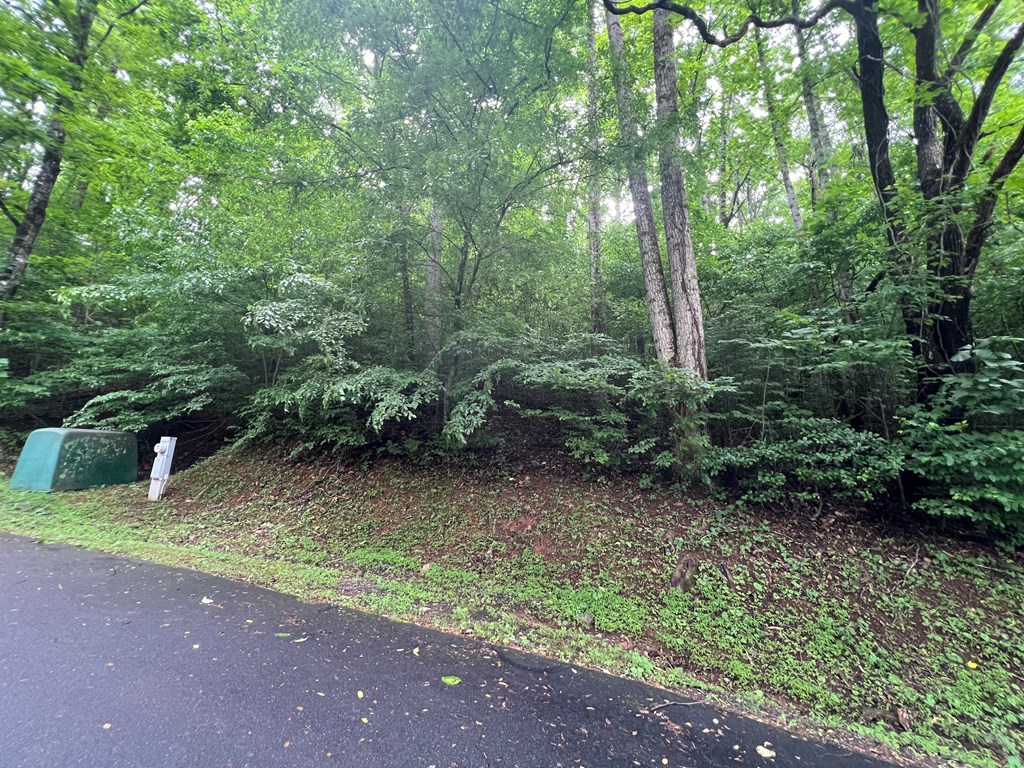 Ash Branch Circle #13 C, HAYESVILLE, North Carolina image 6
