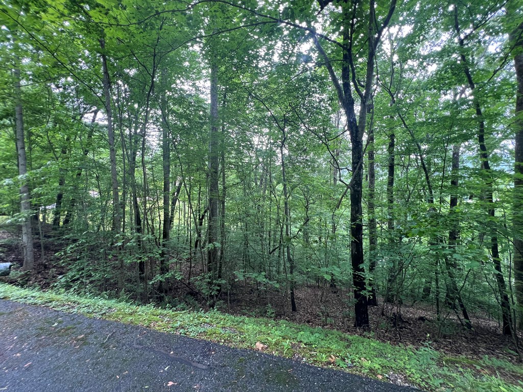Ash Branch Circle #13 C, HAYESVILLE, North Carolina image 3